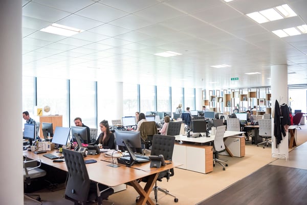 Bright open-plan office with natural light and team working at desks