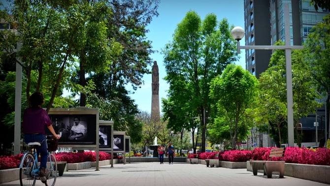 Tribu Consulado